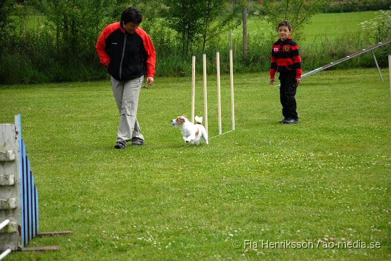 DSC_01.JPG - 2010-06-20 Hundens dag på Axtorps Hundskola -  Agility - Jack Russel