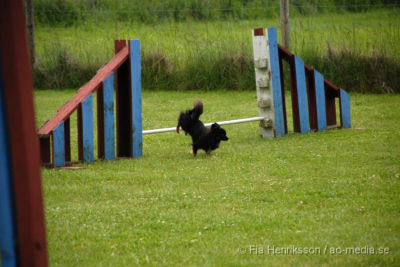 DSC_010.JPG - 2010-06-20 Hundens dag på Axtorps Hundskola - Agility