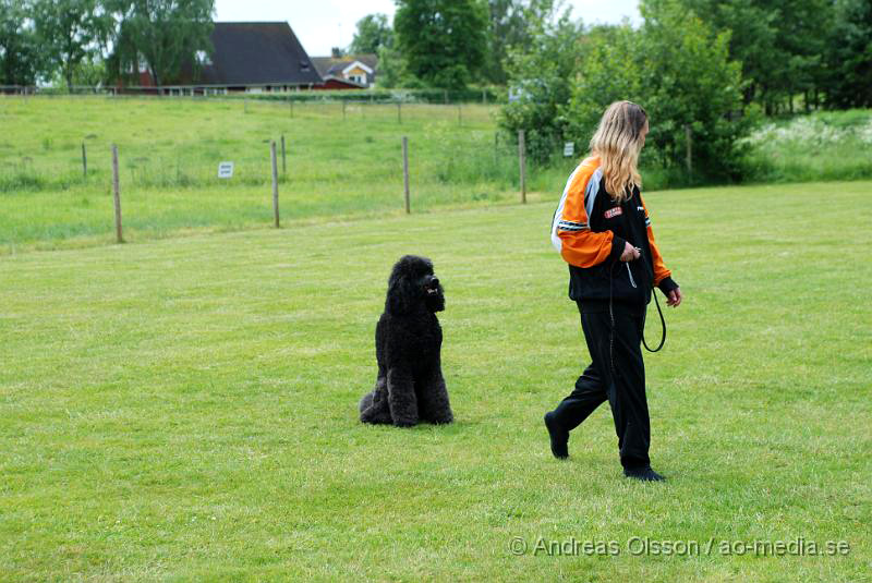 DSC_0104.JPG - 2010-06-20 Hundens dag på Axtorps Hundskola - Spike och Marie