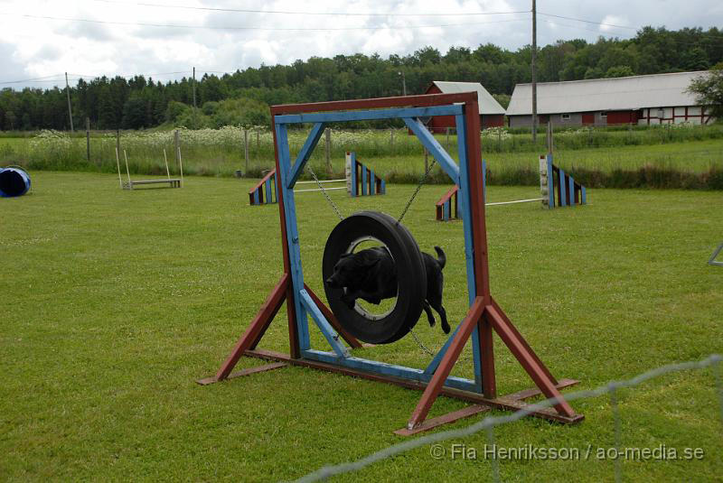 DSC_011.JPG - 2010-06-20 Hundens dag på Axtorps Hundskola - Agility