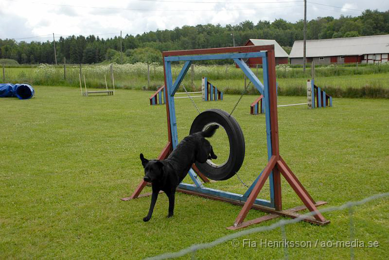 DSC_012.JPG - 2010-06-20 Hundens dag på Axtorps Hundskola - Agility