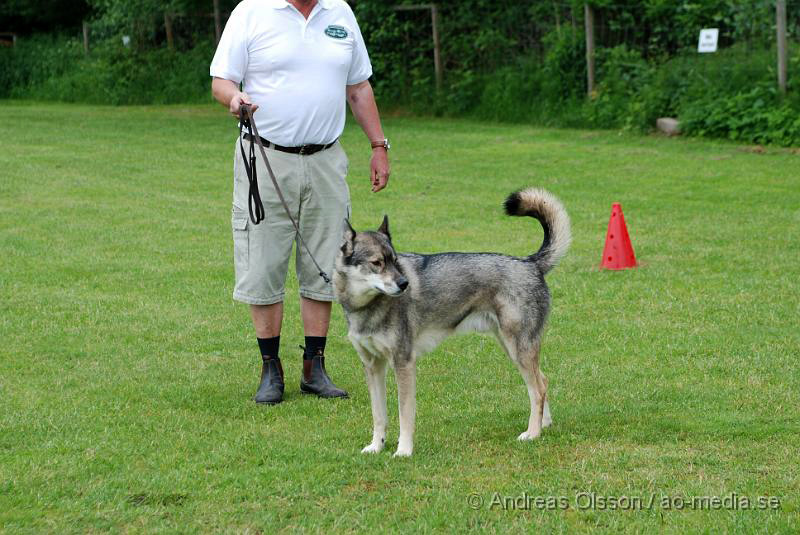 DSC_0120.JPG - 2010-06-20 Hundens dag på Axtorps Hundskola - Rasuppvisning - Huskey