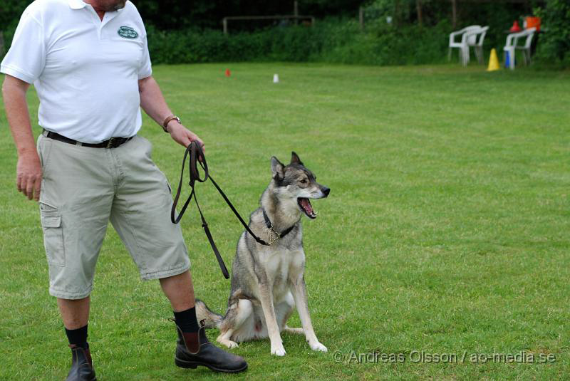 DSC_0121.JPG - 2010-06-20 Hundens dag på Axtorps Hundskola - Rasuppvisning - Huskey