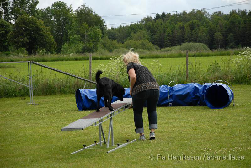 DSC_013.JPG - 2010-06-20 Hundens dag på Axtorps Hundskola - Agility