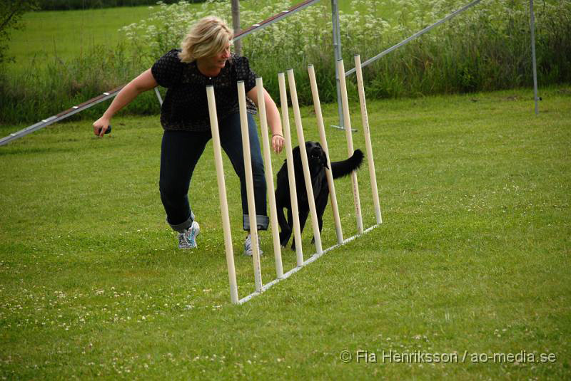 DSC_014.JPG - 2010-06-20 Hundens dag på Axtorps Hundskola - Agility