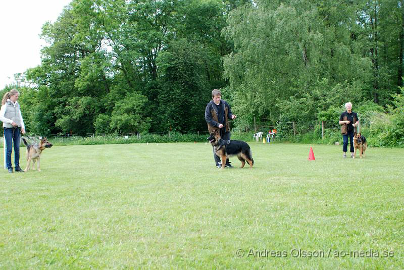 DSC_0157.JPG - 2010-06-20 Hundens dag på Axtorps Hundskola - Rasuppvisning - Schäfer