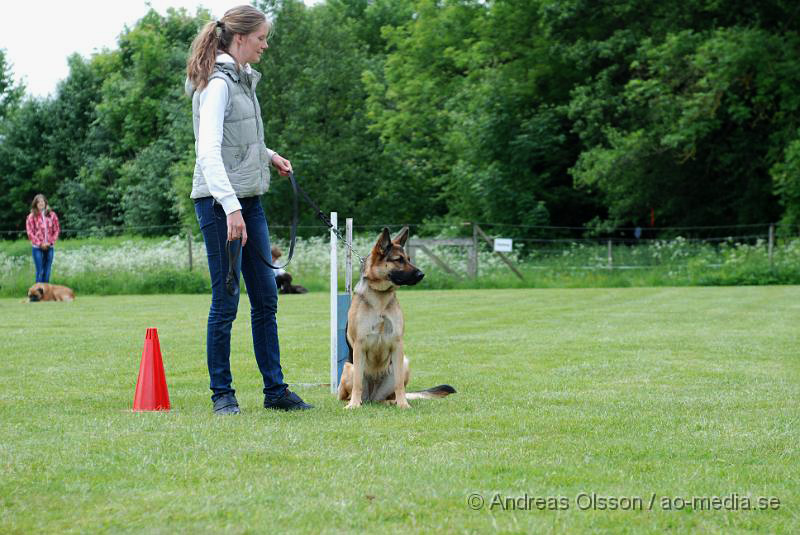 DSC_0160.JPG - 2010-06-20 Hundens dag på Axtorps Hundskola - Rasuppvisning - Schäfer