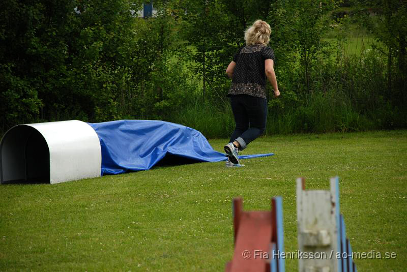 DSC_017.JPG - 2010-06-20 Hundens dag på Axtorps Hundskola - Agility