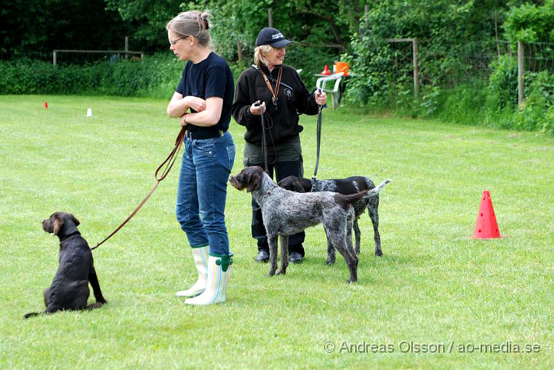 DSC_0185.JPG - 2010-06-20 Hundens dag på Axtorps Hundskola - Rasuppvisning