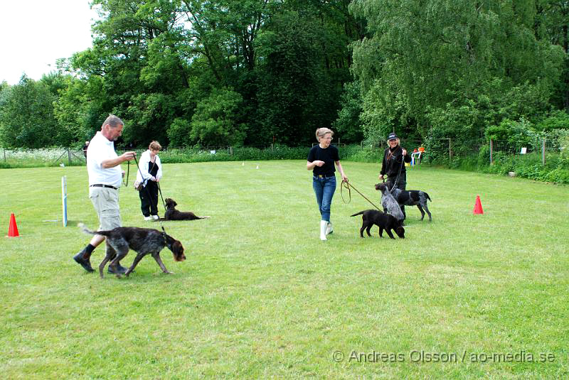 DSC_0186.JPG - 2010-06-20 Hundens dag på Axtorps Hundskola - Rasuppvisning