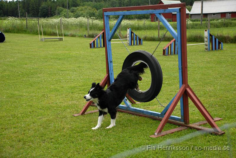 DSC_021.JPG - 2010-06-20 Hundens dag på Axtorps Hundskola - Agility