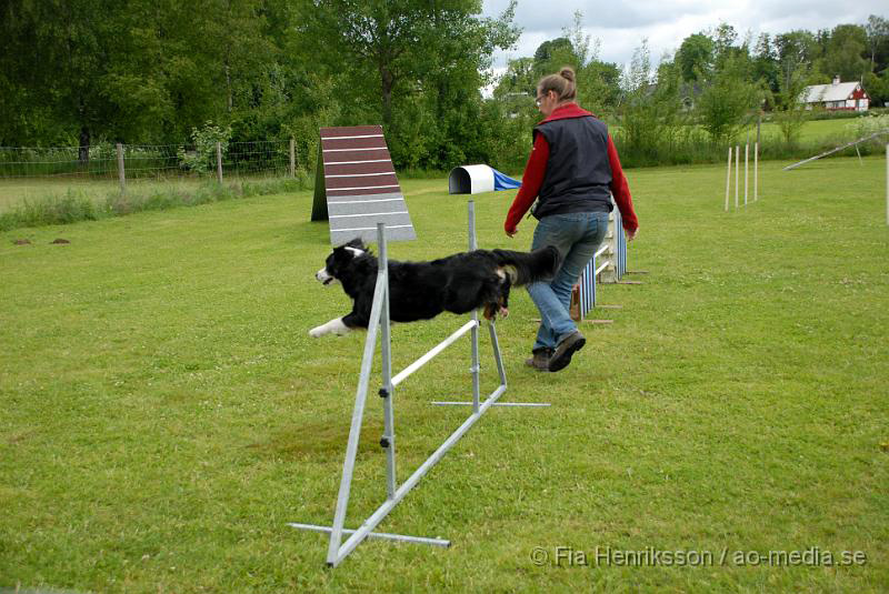 DSC_022.JPG - 2010-06-20 Hundens dag på Axtorps Hundskola - Agility