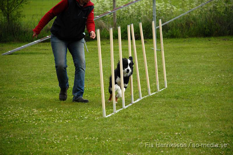 DSC_024.JPG - 2010-06-20 Hundens dag på Axtorps Hundskola - Agility