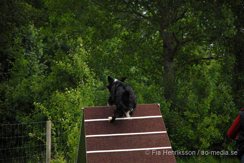 DSC_026.JPG - 2010-06-20 Hundens dag på Axtorps Hundskola - Agility