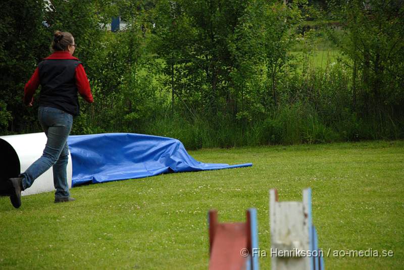 DSC_028.JPG - 2010-06-20 Hundens dag på Axtorps Hundskola - Agility