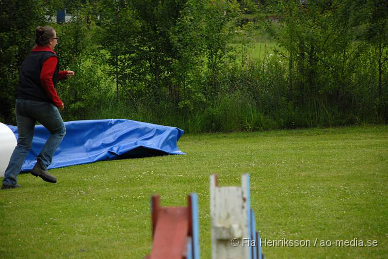 DSC_029.JPG - 2010-06-20 Hundens dag på Axtorps Hundskola - Agility