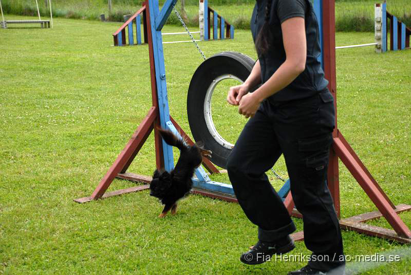 DSC_03.JPG - 2010-06-20 Hundens dag på Axtorps Hundskola - Agility