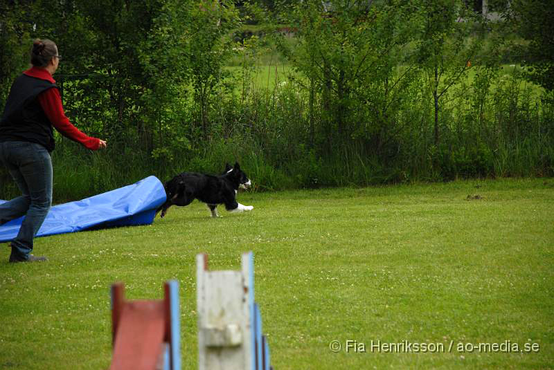 DSC_030.JPG - 2010-06-20 Hundens dag på Axtorps Hundskola - Agility