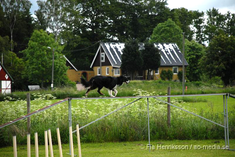 DSC_031.JPG - 2010-06-20 Hundens dag på Axtorps Hundskola - Agility