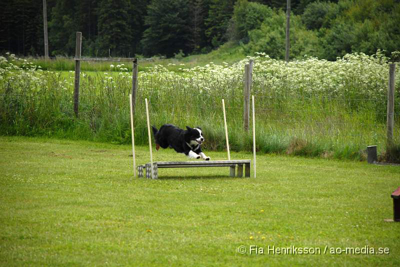 DSC_032.JPG - 2010-06-20 Hundens dag på Axtorps Hundskola - Agility