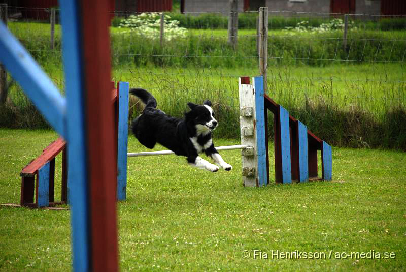 DSC_033.JPG - 2010-06-20 Hundens dag på Axtorps Hundskola - Agility