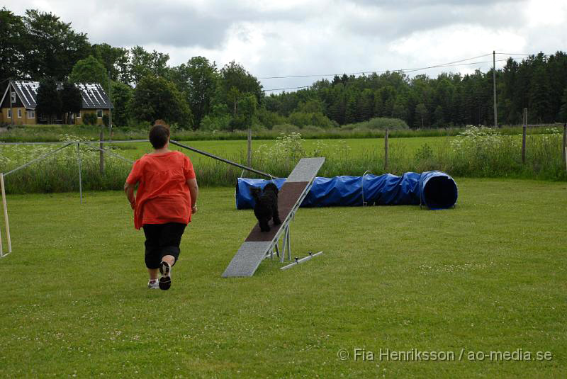 DSC_034.JPG - 2010-06-20 Hundens dag på Axtorps Hundskola - Agility