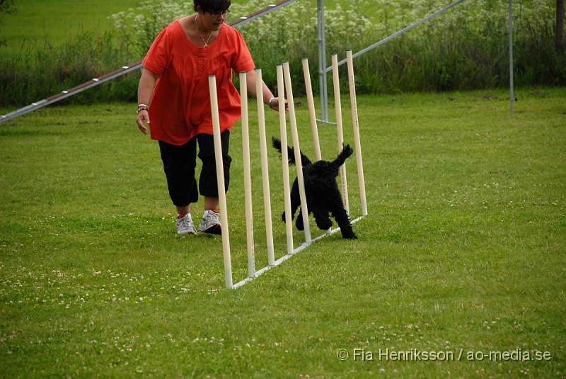 DSC_035.JPG - 2010-06-20 Hundens dag på Axtorps Hundskola - Agility