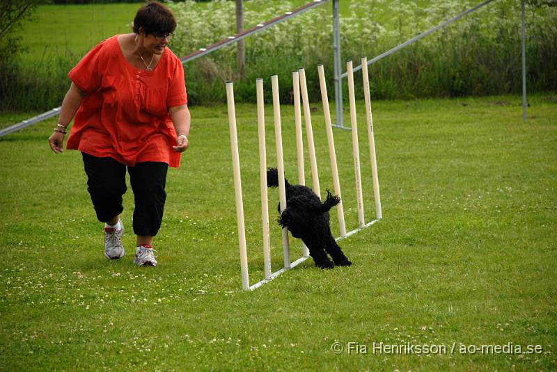 DSC_036.JPG - 2010-06-20 Hundens dag på Axtorps Hundskola - Agility