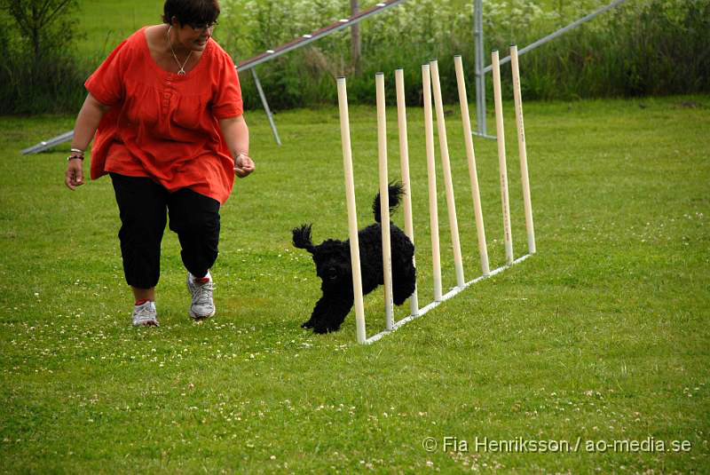 DSC_037.JPG - 2010-06-20 Hundens dag på Axtorps Hundskola - Agility