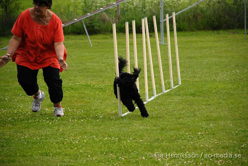 DSC_038.JPG - 2010-06-20 Hundens dag på Axtorps Hundskola - Agility