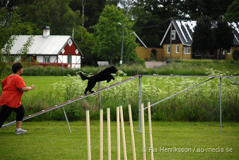 DSC_039.JPG - 2010-06-20 Hundens dag på Axtorps Hundskola - Agility