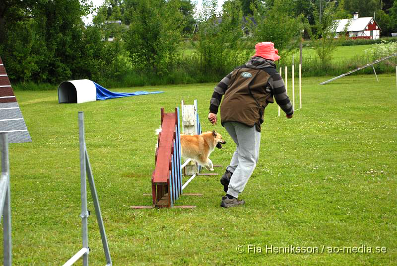 DSC_040.JPG - 2010-06-20 Hundens dag på Axtorps Hundskola - Agility - Isländsk fårhund