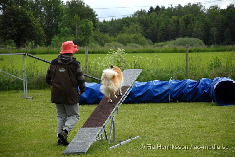 DSC_041.JPG - 2010-06-20 Hundens dag på Axtorps Hundskola - Agility - Isländsk fårhund