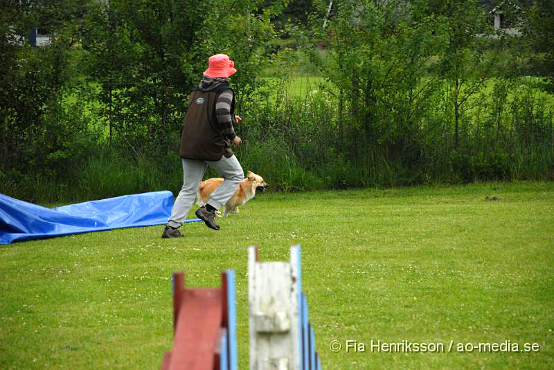 DSC_045.JPG - 2010-06-20 Hundens dag på Axtorps Hundskola - Agility - Isländsk fårhund