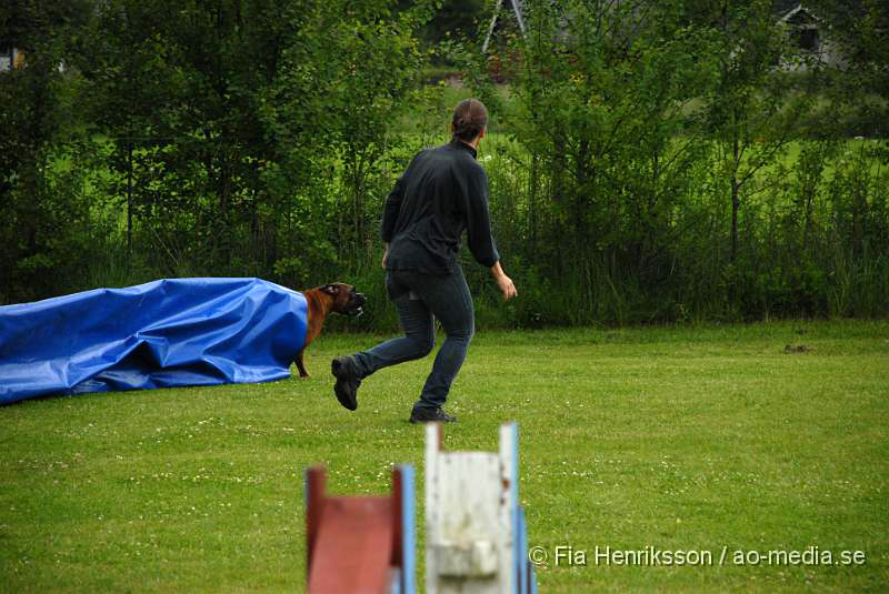 DSC_049.JPG - 2010-06-20 Hundens dag på Axtorps Hundskola - Agility - Boxer