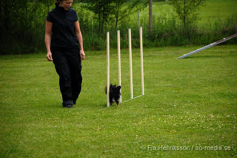 DSC_05.JPG - 2010-06-20 Hundens dag på Axtorps Hundskola - Agility