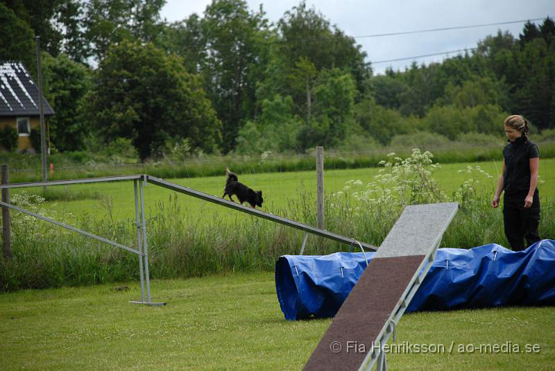 DSC_09.JPG - 2010-06-20 Hundens dag på Axtorps Hundskola - Agility