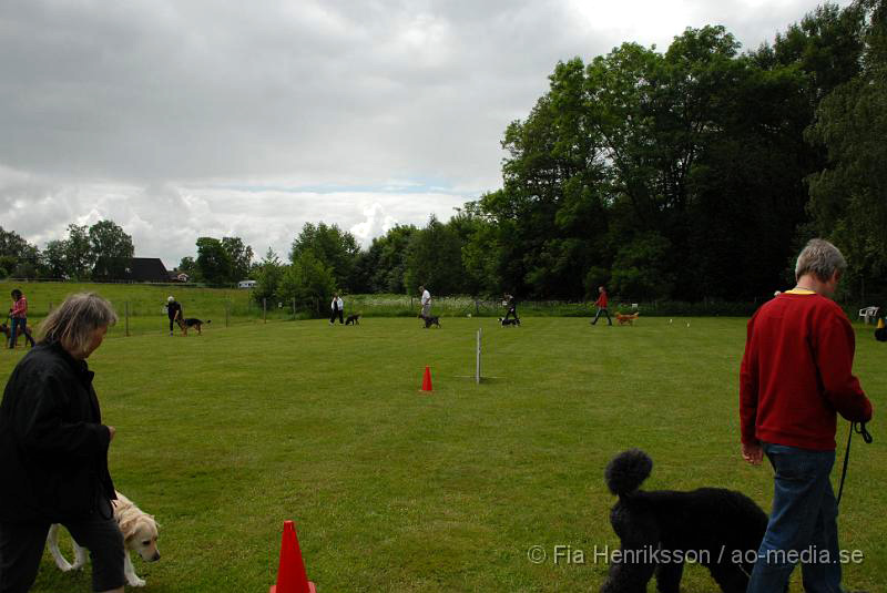 DSC_1.JPG - 2010-06-20 Hundens dag på Axtorps Hundskola - Lydnad