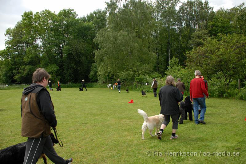 DSC_2.JPG - 2010-06-20 Hundens dag på Axtorps Hundskola - Lydnad