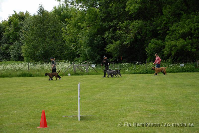 DSC_4.JPG - 2010-06-20 Hundens dag på Axtorps Hundskola - Lydnad