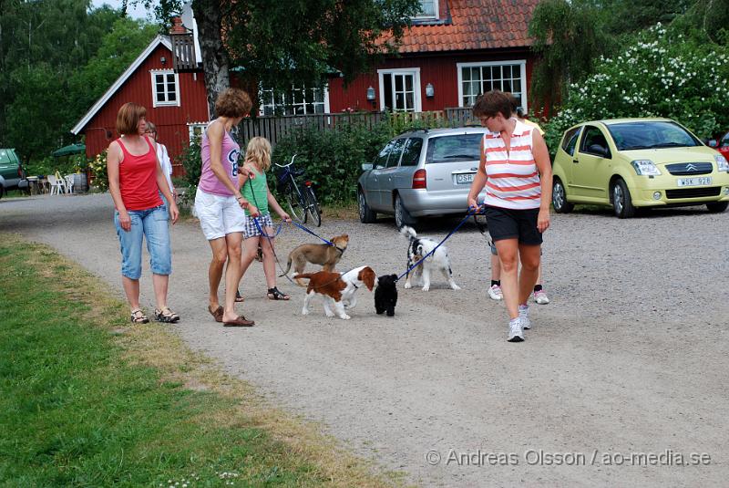 DSC_0077.JPG - Intensiv kurs, valp på Axtorps Hundskola!