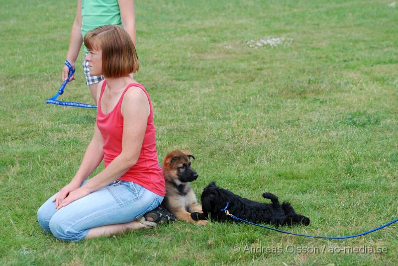 DSC_0081.JPG - Intensiv kurs, valp på Axtorps Hundskola!