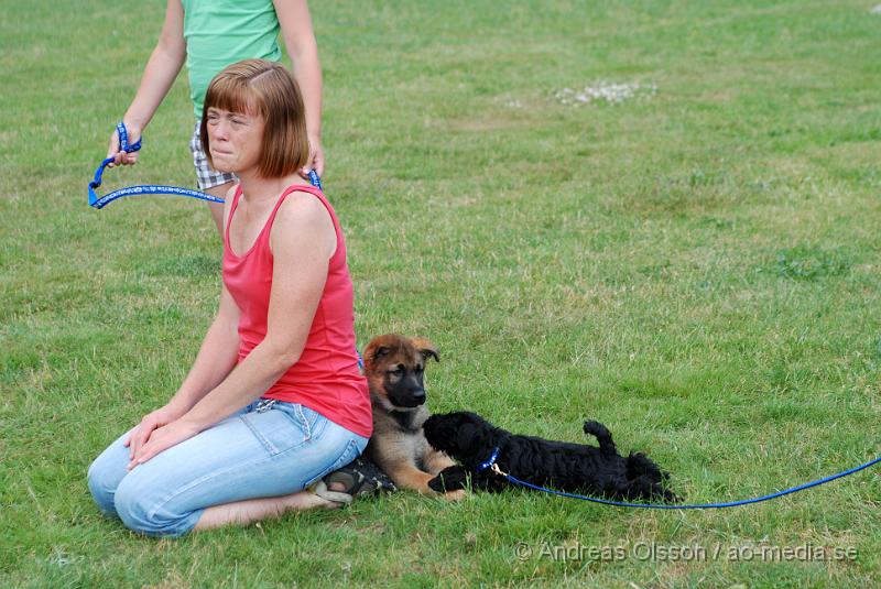 DSC_0082.JPG - Intensiv kurs, valp på Axtorps Hundskola!