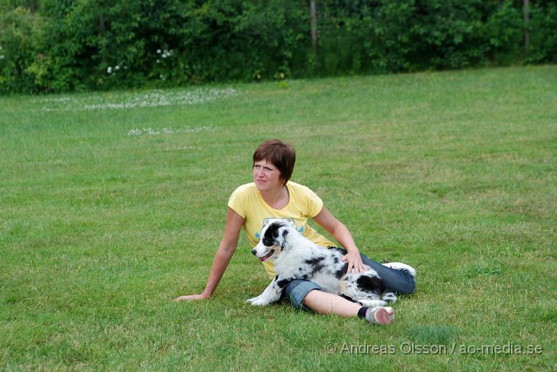 DSC_0083.JPG - Intensiv kurs, valp på Axtorps Hundskola!