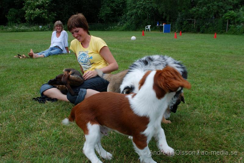 DSC_0135.JPG - Intensiv kurs, valp på Axtorps Hundskola!