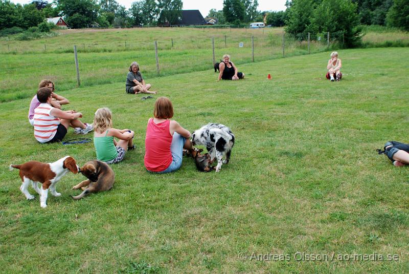 DSC_0142.JPG - Intensiv kurs, valp på Axtorps Hundskola!