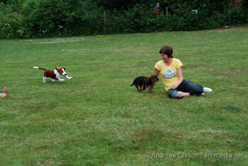 DSC_0145.JPG - Intensiv kurs, valp på Axtorps Hundskola!