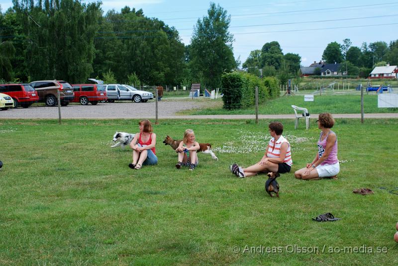 DSC_0155.JPG - Intensiv kurs, valp på Axtorps Hundskola!