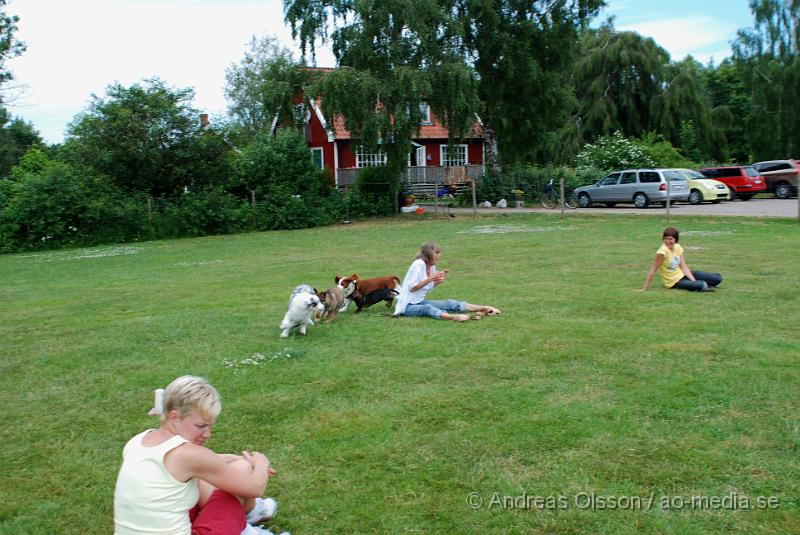 DSC_0157.JPG - Intensiv kurs, valp på Axtorps Hundskola!