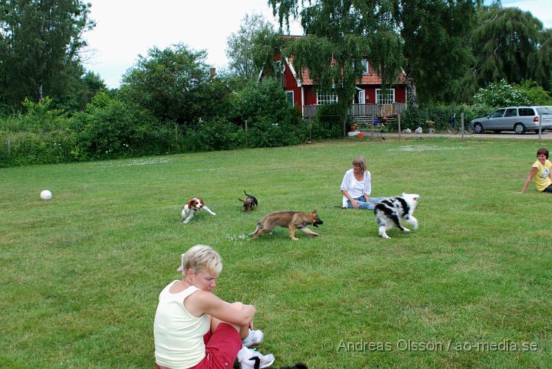 DSC_0159.JPG - Intensiv kurs, valp på Axtorps Hundskola!